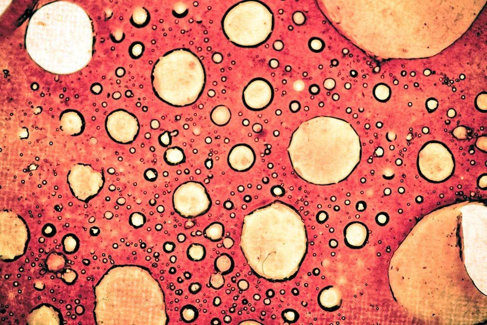 How do cells work oxford university department for continuing education